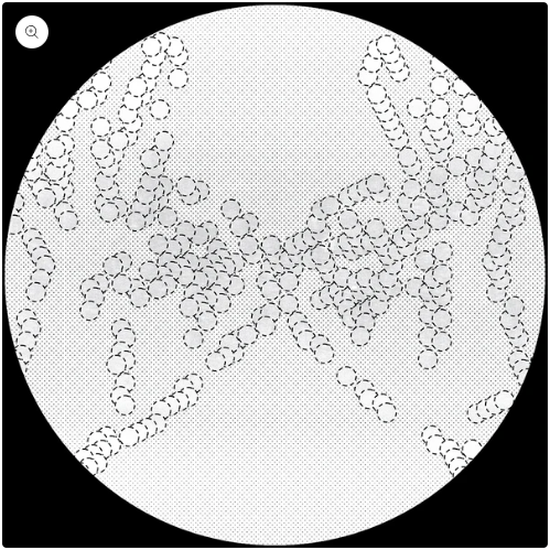 V.A. — Cartulis Music 15th Anniversary Compilation